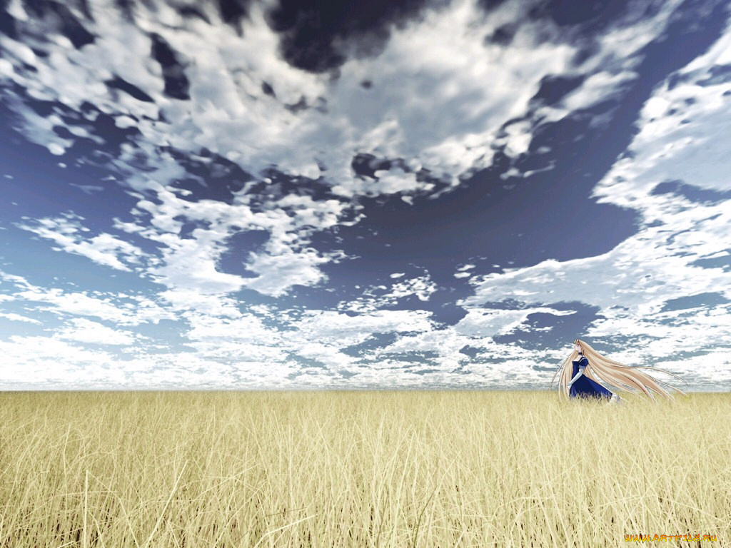 , fate, stay, night